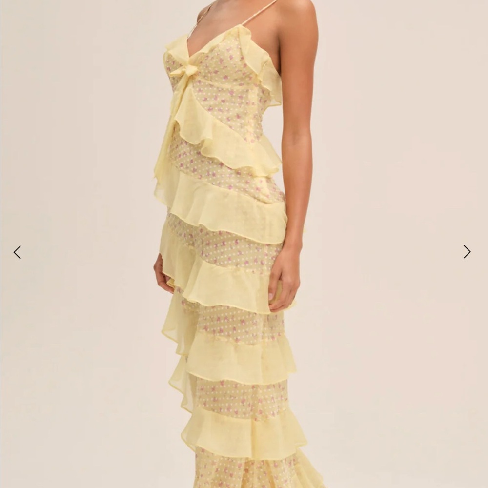 NWT For Love & Lemons Debby dress